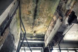 Best HVAC Mold Inspection and Cleaning  in Vienna, GA